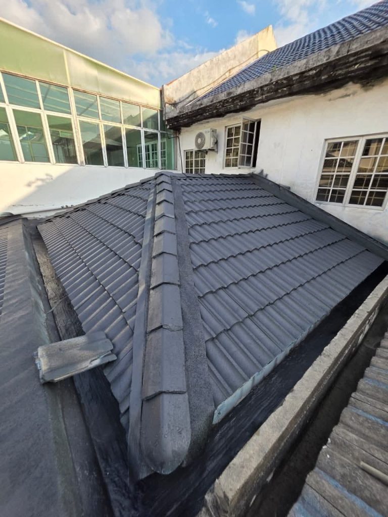 Roof Cleaning, Undercoating & Repainting after renovation