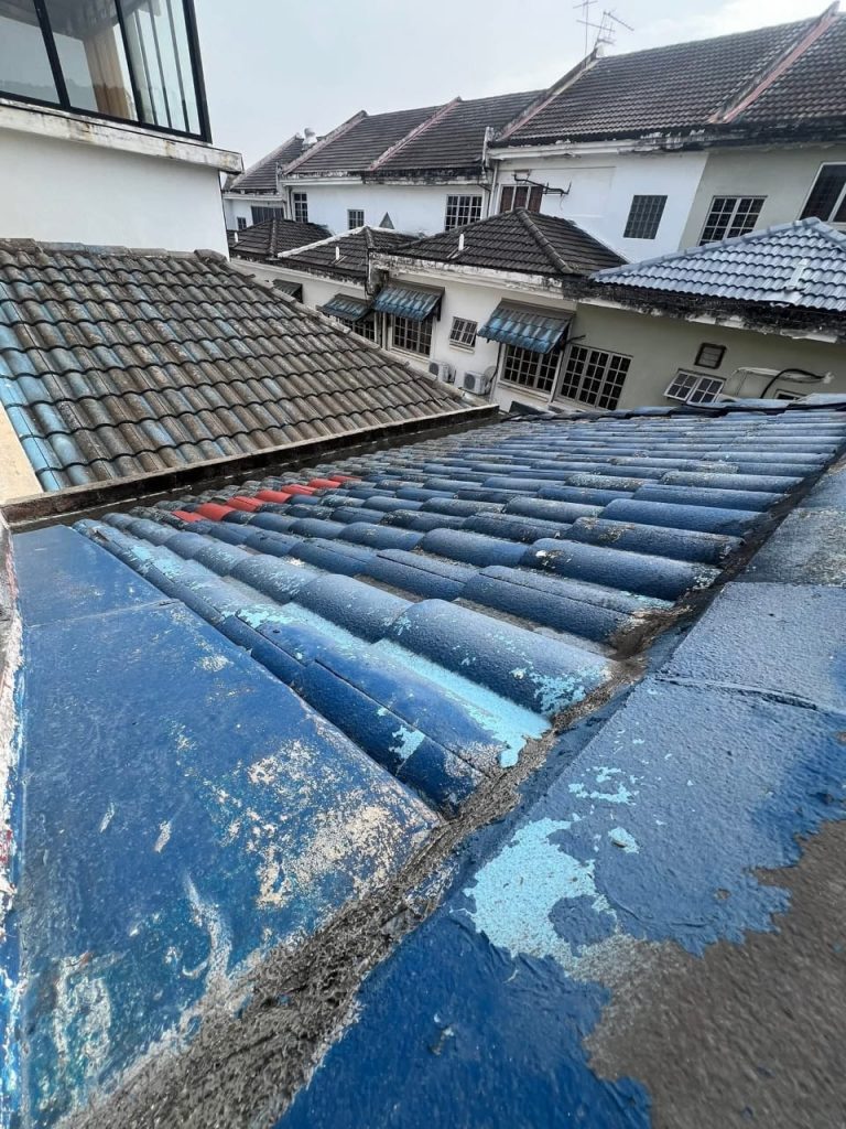 Roof Cleaning, Undercoating & Repainting before renovation